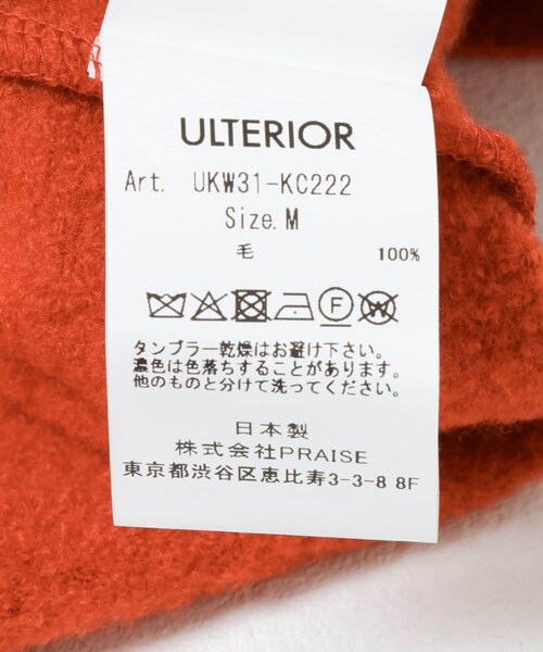URBAN RESEARCH(アーバンリサーチ)の「ULTERIOR S/M FINE WOOL KNIT PULLOVER(ニット/セーター・メンズ・BLACK/R.PURPLE/V. RED・M/L)」の19枚目の写真