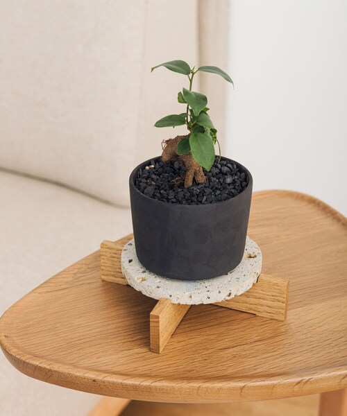 URBAN RESEARCH DOORS(アーバンリサーチドアーズ)の「SENDAI FORME プランツコースター(その他雑貨・メンズ・ナチュラル/ブラック・-)」の14枚目の写真
