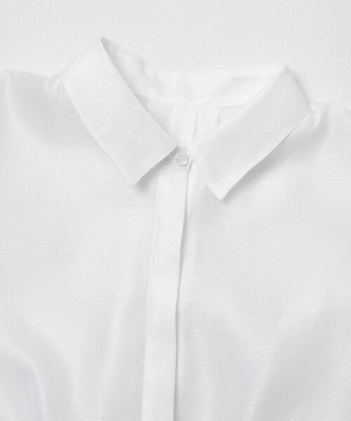 URBAN RESEARCH ROSSO（アーバンリサーチロッソ）の「シアーオーガンジーフォルムシャツ（シャツ/ブラウス・レディース・BLACK/OFF WHITE・Free）」の9枚目の写真