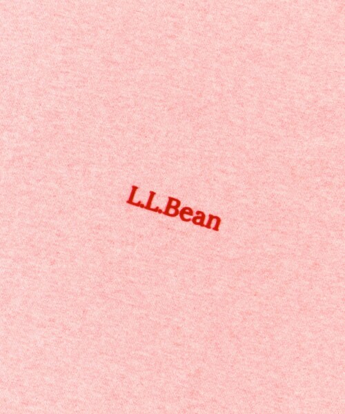 URBAN RESEARCH DOORS(アーバンリサーチドアーズ)の「L.L.Bean Ringer T-Shirts(Tシャツ/カットソー・レディース・Top blue/Birch/Top red・M)」の13枚目の写真