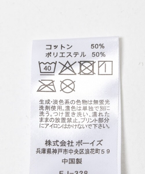 URBAN RESEARCH DOORS（アーバンリサーチドアーズ）の「DANTON　LONGSLEEVETSHIRTS（Tシャツ/カットソー・レディース・BLK×WHT/BR×ECRU・S）」の10枚目の写真