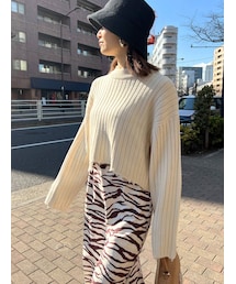 EMODA | ラウンドカットクラッシュニット(ニット/セーター)