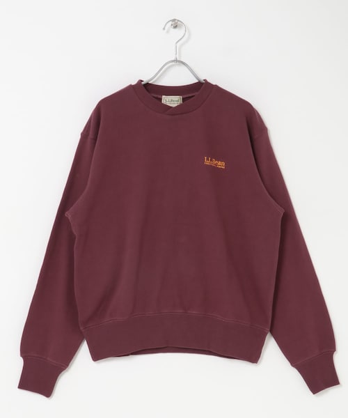URBAN RESEARCH DOORS(アーバンリサーチドアーズ)の「L.L.Bean JAPAN EDITION Crewneck Sweatshirts(スウェット・レディース・Ecru/Birch/Navy/Bordeaux/Straw/Ocean・M)」の4枚目の写真