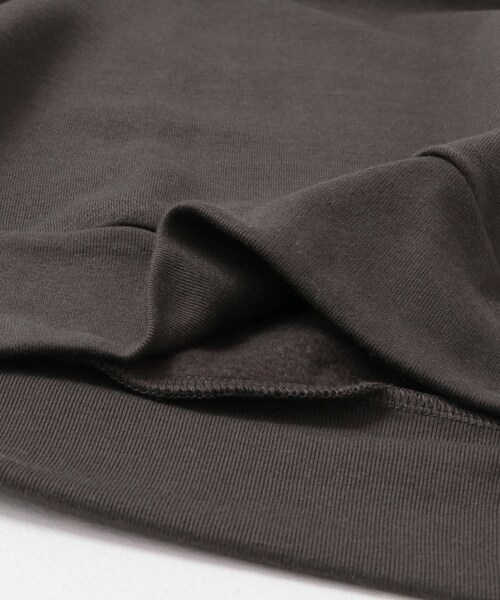 ITEMS URBANRESEARCH（アイテムズ アーバンリサーチ）の「Healthknit　Classic Sweat Zip Hoodie（パーカー・メンズ・BLU/ASH GRY/GRN/RED/F.BLK・M/L/XL）」の8枚目の写真