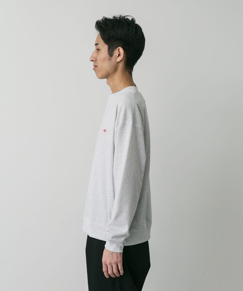 URBAN RESEARCH DOORS（アーバンリサーチドアーズ）の「DANTON　SWEAT T-SHIRTS（スウェット・メンズ・COAL GREY/TAUPE/H.WHITE・L/XL）」の6枚目の写真