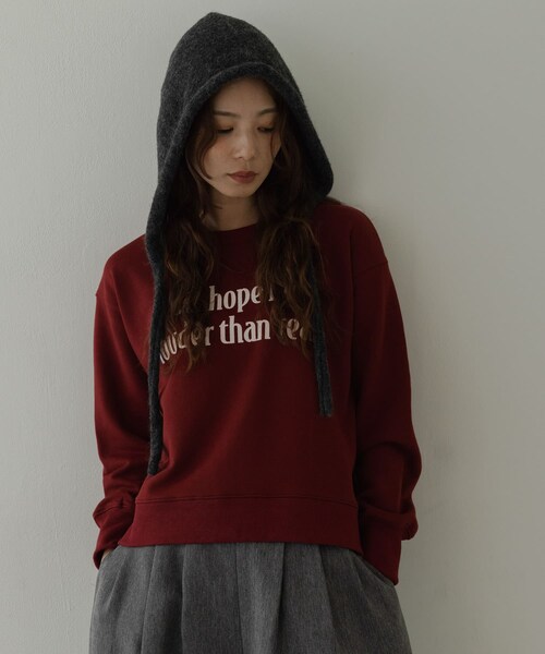 URBAN RESEARCH Sonny Label（アーバンリサーチサニーレーベル）の「メッセージロゴスウェットプルオーバー（スウェット・レディース・チャコール/オートミール/チェリーブラウン・Free）」の15枚目の写真