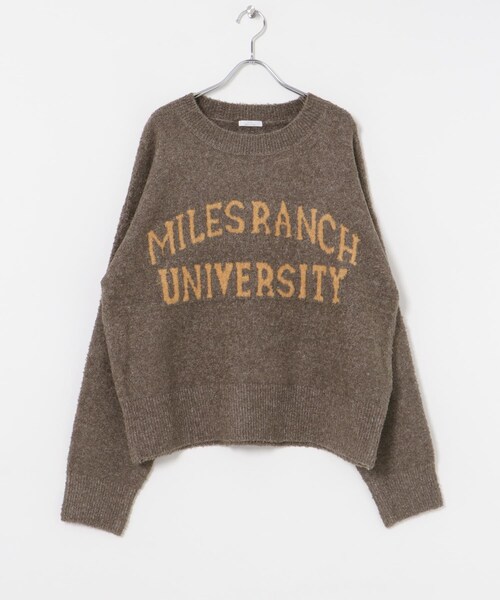 ITEMS URBANRESEARCH（アイテムズ アーバンリサーチ）の「ブークレビッグロゴニット（ニット/セーター・レディース・BRN/L.GRAY/MNT・FREE）」の16枚目の写真