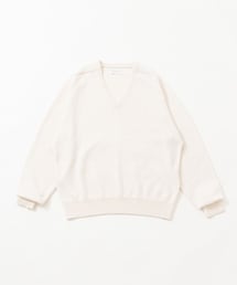 URBAN RESEARCH | new basic WASHI WOOL V-NECK KNIT(ニット/セーター)