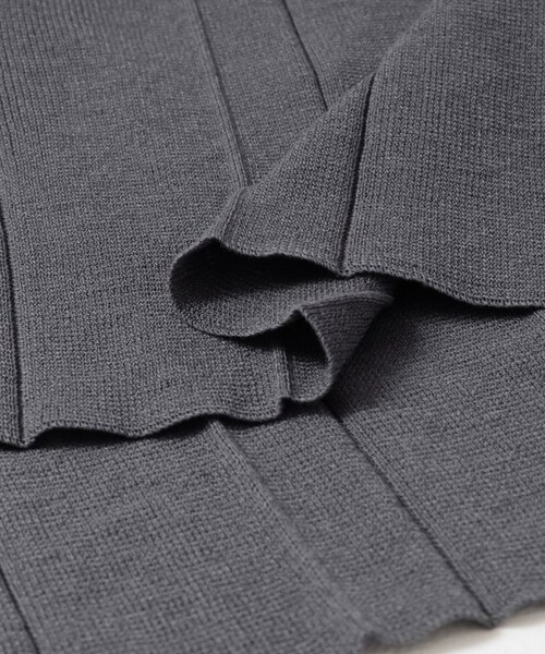 LAATO（ラート）の「knit pleats skirt（スカート・レディース・シャドウ/サブレ・Free）」の6枚目の写真