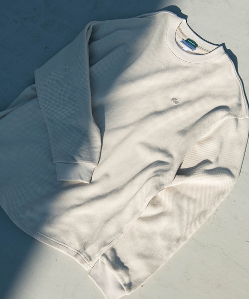 URBAN RESEARCH DOORS（アーバンリサーチドアーズ）の「『別注』LACOSTE×DOORS　THICK PIQUE ROUND LONG-SLEEVE（Tシャツ/カットソー・メンズ・HAMMAM/ABYSS BLUE/BIRCH/BLACK BIRD・3/4/5）」の6枚目の写真