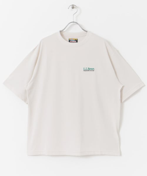 URBAN RESEARCH DOORS（アーバンリサーチドアーズ）の「L.L.Bean　Abbot Short Sleeve Crew（Tシャツ/カットソー・メンズ・Ivory/Night/Green・M/L/XL）」の5枚目の写真