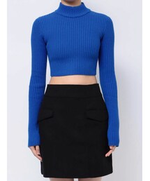EMODA | ハイネッククロップニット(ニット/セーター)