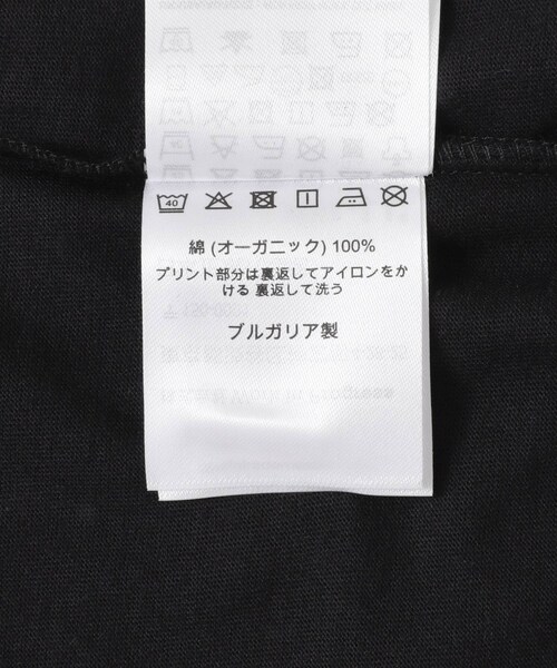 URBAN RESEARCH Sonny Label（アーバンリサーチサニーレーベル）の「carhartt　JACOB ROCHESTER T-SHIRTS（Tシャツ/カットソー・メンズ・White/Black・M/L）」の12枚目の写真