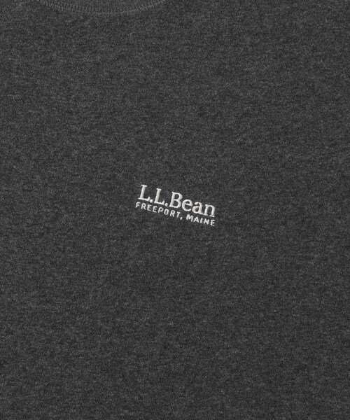 URBAN RESEARCH DOORS（アーバンリサーチドアーズ）の「L.L.Bean　Union Short-Sleeve T-shirts（Tシャツ/カットソー・メンズ・Birch/Ocean/T Charcoal・M/L/XL）」の9枚目の写真