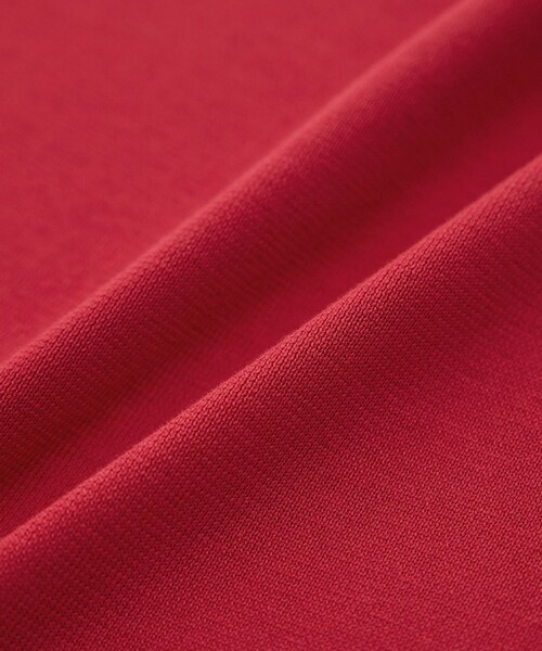 ROPE'(ロペ)の「シルクコットン総針Aラインワンピース/イージーケア(ワンピース・レディース・ネイビー/レッド・F)」の20枚目の写真