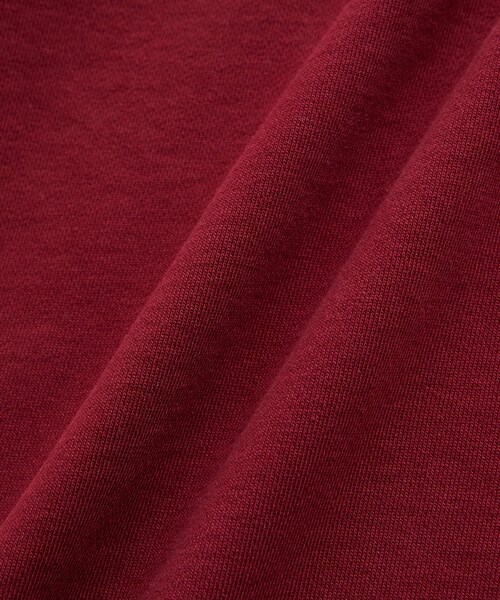 ADAM ET ROPE'（アダムエロペ）の「《別注》【SPALDING/スポルディング】LOGO SWEATSHIRT / UNISEX（スウェット・レディース・ブラック/ライトグレー/ワイン・L/M）」の18枚目の写真