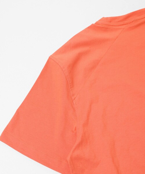 EKAL（エカル）の「KLATTERMUSEN　ROOT LOGO SS TEE MS（Tシャツ/カットソー・メンズ・Cl BERRY/STRAW/SNOW/RAVEN・S/M/L）」の21枚目の写真