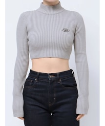 EMODA | 【Ames Worldwide】エンブロイダリークロップニット(ニット/セーター)