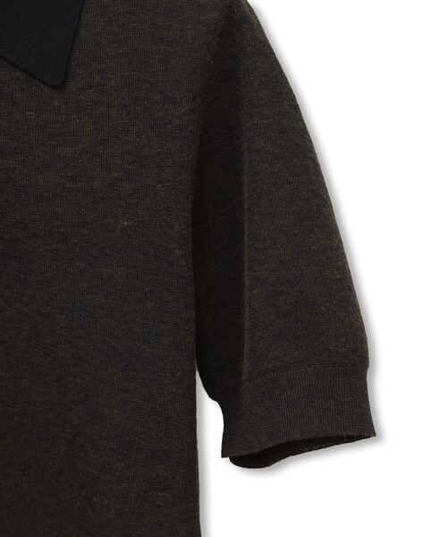 ADAM ET ROPE'(アダムエロペ)の「【定番】ラミーニットポロシャツ(ポロシャツ・レディース・キナリ/ダークブラウン系/サックス・F)」の20枚目の写真
