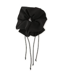 ドロストシュシュ