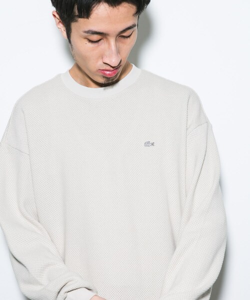 URBAN RESEARCH DOORS（アーバンリサーチドアーズ）の「『別注』LACOSTE×DOORS　HEAVY PIQUE LONG-SLEEVE（Tシャツ/カットソー・メンズ・HAMMAM/GRAPHITE/PORTO・3/4/5）」の14枚目の写真