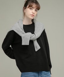 URBAN RESEARCH Sonny Label | サイドスリットハイゲージプルオーバー(ニット/セーター)