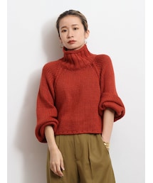 Ungrid | ローゲージハイネックショートニット(ニット/セーター)