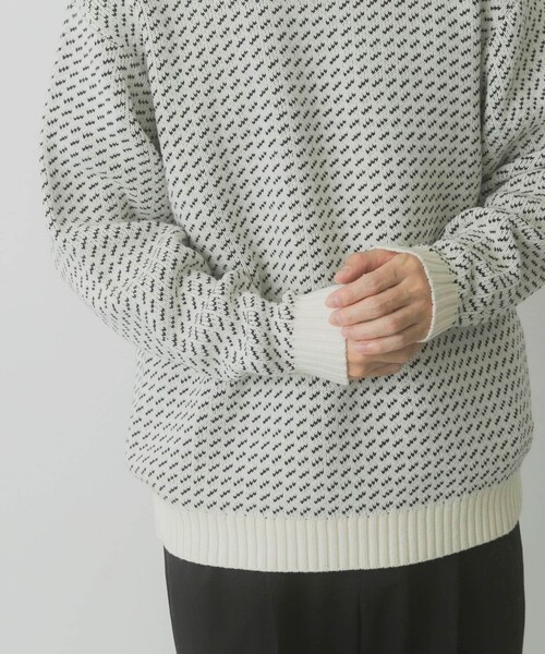 ITEMS URBANRESEARCH（アイテムズ アーバンリサーチ）の「マシンウォッシャブル バーズアイ クルーニット（ニット/セーター・メンズ・WHT/BGD/NVY/BLK・M/L）」の16枚目の写真