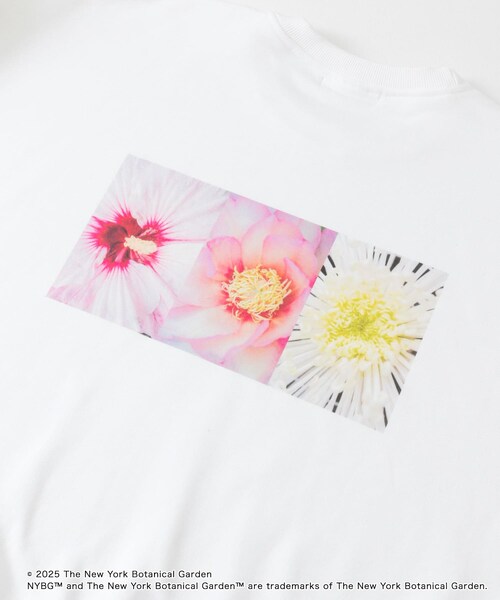 SENSE OF PLACE by URBAN RESEARCH(センスオブプレイスバイアーバンリサーチ)の「NYBG クルーネックルーズスウェットA(スウェット・メンズ・GREEN/WHITE/BLACK・M/L)」の13枚目の写真