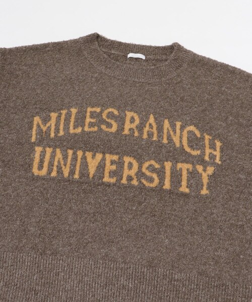 ITEMS URBANRESEARCH（アイテムズ アーバンリサーチ）の「ブークレビッグロゴニット（ニット/セーター・レディース・BRN/L.GRAY/MNT・FREE）」の17枚目の写真