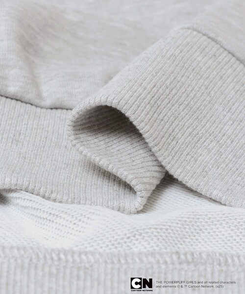 SENSE OF PLACE by URBAN RESEARCH（センスオブプレイスバイアーバンリサーチ）の「『別注』PPG / SENSE OF PLACE ルーズスウェット（スウェット・レディース・NAVY/GRAY・one）」の17枚目の写真