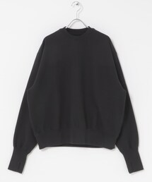 URBAN RESEARCH | Unlikely Simple SweatCrew MUSTANGS(スウェット)