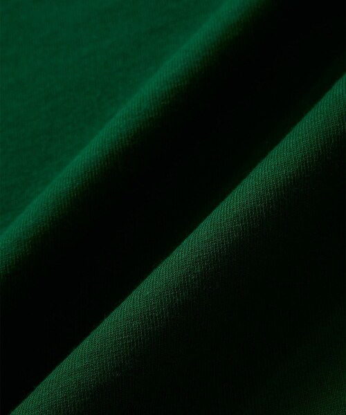 bonjour records(ボンジュールレコーズ)の「blurhms ROOTSTOCK/ブラームス・ルーツストック Classic Short Basque Shirt(Tシャツ/カットソー・レディース・ブラック/グリーン・0/1)」の12枚目の写真