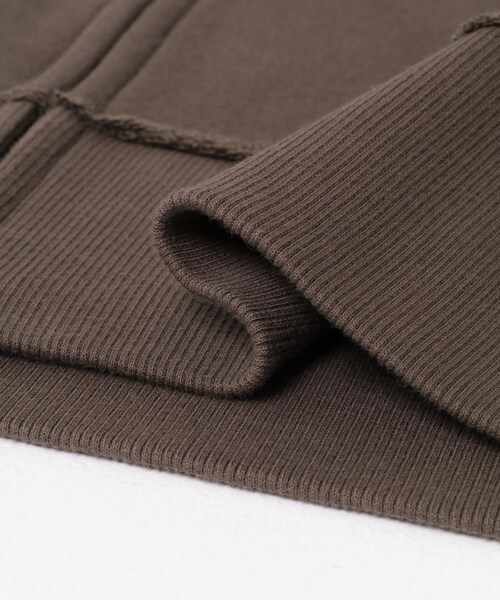 SENSE OF PLACE by URBAN RESEARCH（センスオブプレイスバイアーバンリサーチ）の「『別注』Champion×SENSE OF PLACE　ジップパーカー（パーカー・レディース・OATMEAL/BROWN/GREEN・one）」の14枚目の写真