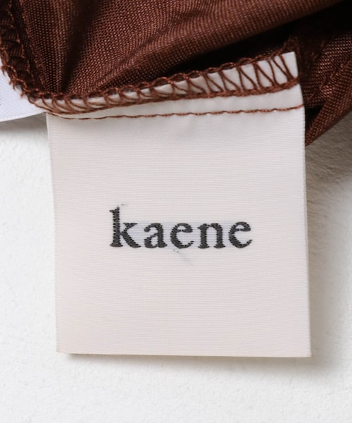 URBAN RESEARCH ROSSO（アーバンリサーチロッソ）の「kaene　チュールレースAラインドレス（ワンピース・レディース・yellow/brown・FREE）」の17枚目の写真