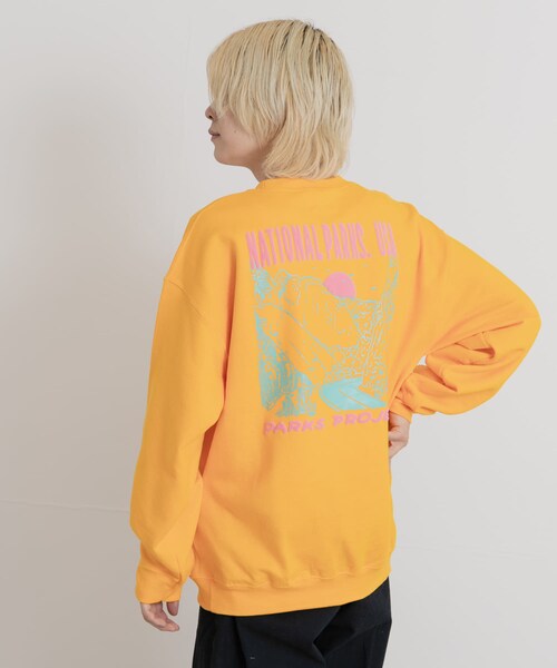 THE GOODLAND MARKET（ザグッドランドマーケット）の「PARKS PROJECT　NATIONAL PARKS SWEAT（スウェット・メンズ・GREEN/YELLOW・M/L）」の21枚目の写真