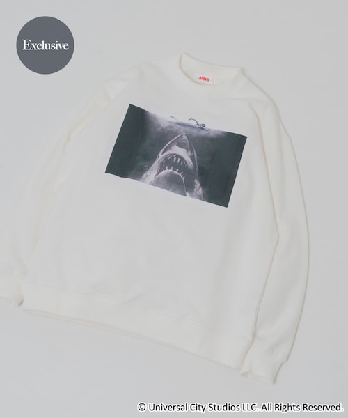 ITEMS URBANRESEARCH(アイテムズ アーバンリサーチ)の「『別注』UNIVERSAL MOVIEスウェット(スウェット・メンズ・CHUCKY WHT/CHUCKY BLK/PSYCHO WHT/PSYCHO BLK/ET WHT/ET BLK/JAWS WH/JAWS BLK・M/L)」の7枚目の写真