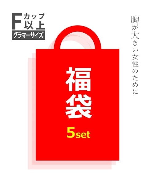 【大きい胸専用】【福袋】ワンピースが必ず入るおまかせハッピーバッグ5点セット（福袋）