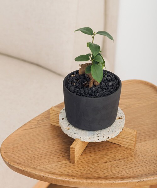 URBAN RESEARCH DOORS(アーバンリサーチドアーズ)の「SENDAI FORME プランツコースター(その他雑貨・メンズ・ナチュラル/ブラック・-)」の13枚目の写真
