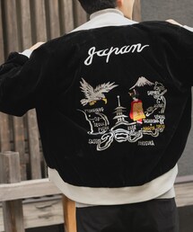 ITEMS URBANRESEARCH（アイテムズ アーバンリサーチ）の「TAION　Reversible SKAJAN Down Jacket（その他アウター・メンズ）」