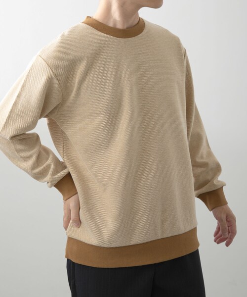 ITEMS URBANRESEARCH（アイテムズ アーバンリサーチ）の「バーズアイ ジャカード スウェット（スウェット・メンズ・BEG/D.BRN/NVY・M/L）」の17枚目の写真