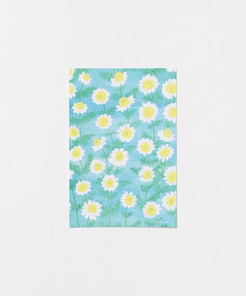 URBAN RESEARCH（アーバンリサーチ）の「はるかぜ染色工房　ポストカード（その他雑貨・メンズ・スズラン/野葡萄/カモミール/ミモザの花束/アネモネの花束/オリーブ/スミレ/ミモザグレー・-）」の15枚目の写真