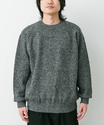 URBAN RESEARCH DOORS | YOKO SAKAMOTO RAGLAN CREW NECK KNIT(ニット/セーター)