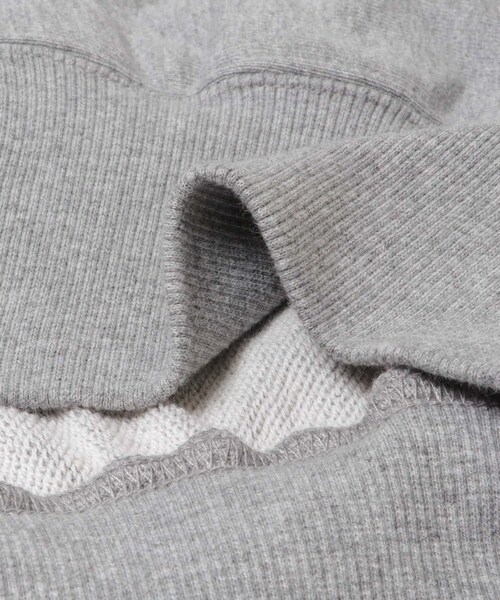 THE GOODLAND MARKET（ザグッドランドマーケット）の「PARKS PROJECT　Mt.FUJI No.4 ZipHoodie（パーカー・レディース・GRAY/PINK・FREE）」の15枚目の写真