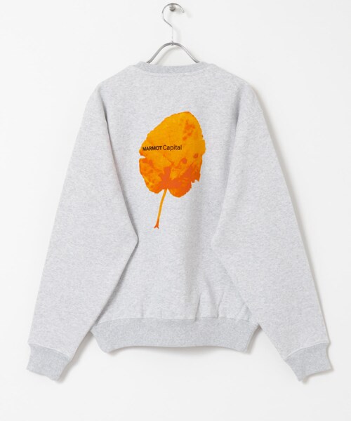URBAN RESEARCH（アーバンリサーチ）の「MARMOT CAPITAL　LEAF CREW SWEAT（スウェット・レディース・GRAY・M）」の5枚目の写真