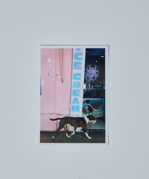 ADAM ET ROPE'(アダムエロペ)の「【J'aDoRe・店舗限定】【LY(エルワイ)】Gargantilla /ビーズチョーカー(チョーカー・レディース・レッド系・F)」の9枚目の写真