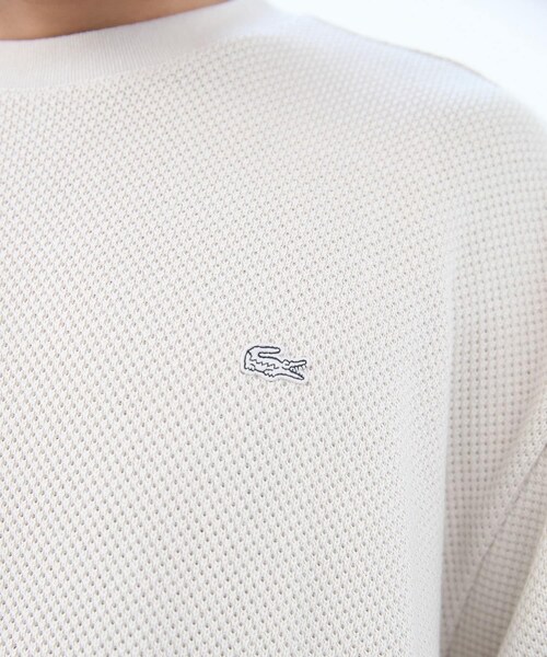 URBAN RESEARCH DOORS（アーバンリサーチドアーズ）の「『別注』LACOSTE×DOORS　HEAVY PIQUE LONG-SLEEVE（Tシャツ/カットソー・メンズ・HAMMAM/GRAPHITE/PORTO・3/4/5）」の7枚目の写真