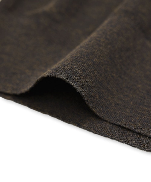 ADAM ET ROPE'(アダムエロペ)の「【定番】ラミーニットポロシャツ(ポロシャツ・レディース・キナリ/ダークブラウン系/サックス・F)」の22枚目の写真
