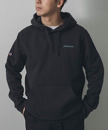 patagonia Fitz RoyIcon Uprisal Hoody
