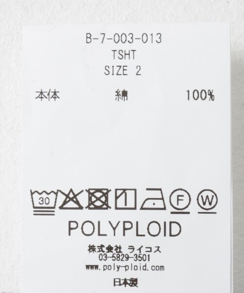 URBAN RESEARCH（アーバンリサーチ）の「POLYPLOID　T SHIRT B（Tシャツ/カットソー・メンズ・PPL/NVY/GRY/BLK・2/3/4）」の12枚目の写真